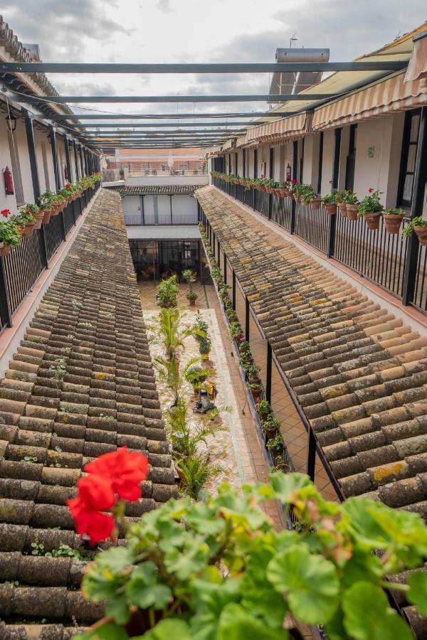 Rentalsevilla Durmiendo En La Alameda ภายนอก รูปภาพ